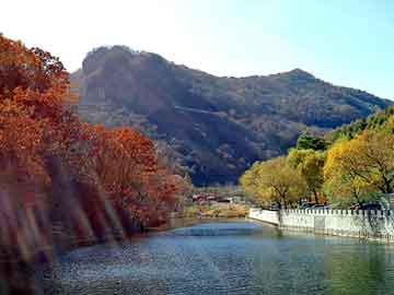 新澳天天开奖资料大全旅游团，倩影.瘦身蔬果减肥